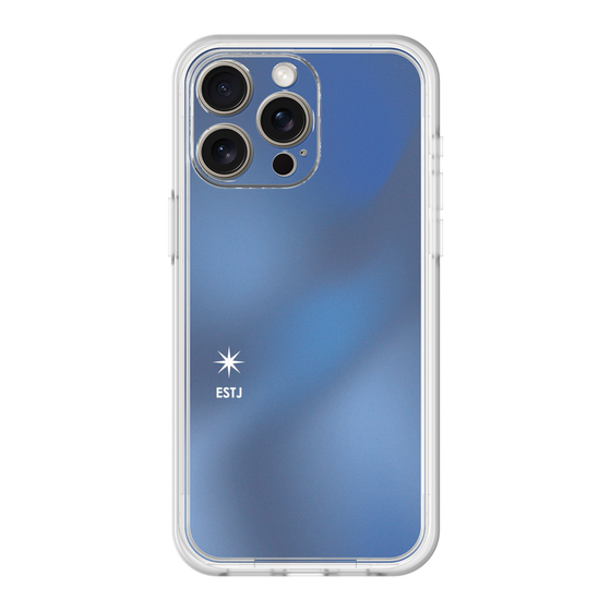 Premium Panel［ Original - ESTJ Executive - Gradient ］