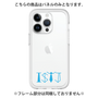 Premium Panel［ Original - ISTJ Logistician - Alphabet ］