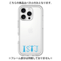 Premium Panel［ Original - ISTJ Logistician - Alphabet ］