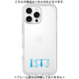 Premium Panel［ Original - ISTJ Logistician - Alphabet ］