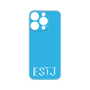 Premium Panel［ Original - ESTJ Executive - Alphabet - Blue ］