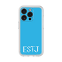 Premium Panel［ Original - ESTJ Executive - Alphabet - Blue ］