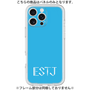 Premium Panel［ Original - ESTJ Executive - Alphabet - Blue ］