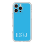 Premium Panel［ Original - ESTJ Executive - Alphabet - Blue ］
