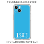 Premium Panel［ Original - ISTJ Logistician - Alphabet - Blue ］