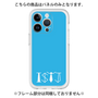 Premium Panel［ Original - ISTJ Logistician - Alphabet - Blue ］