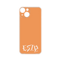 Premium Panel［ Original - ESTP Entrepreneur - Alphabet - Orange ］