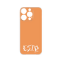 Premium Panel［ Original - ESTP Entrepreneur - Alphabet - Orange ］