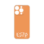 Premium Panel［ Original - ESTP Entrepreneur - Alphabet - Orange ］