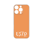 Premium Panel［ Original - ESTP Entrepreneur - Alphabet - Orange ］