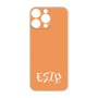 Premium Panel［ Original - ESTP Entrepreneur - Alphabet - Orange ］