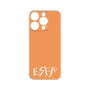 Premium Panel［ Original - ESFP Entertainer - Alphabet - Orange ］