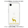 Premium Panel［ &UCHINOCO - Italian Greyhound ］