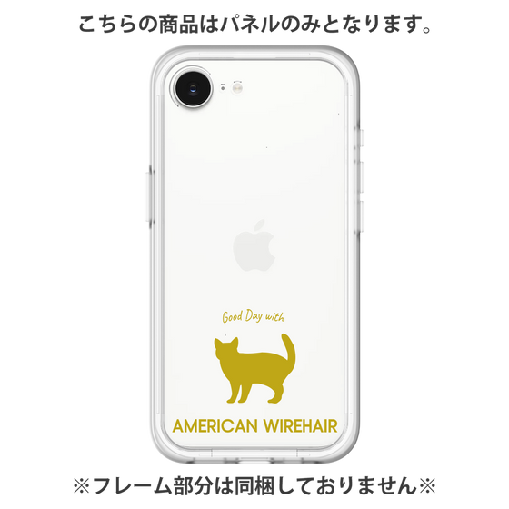 Premium Panel［ &UCHINOCO - American Wirehair ］