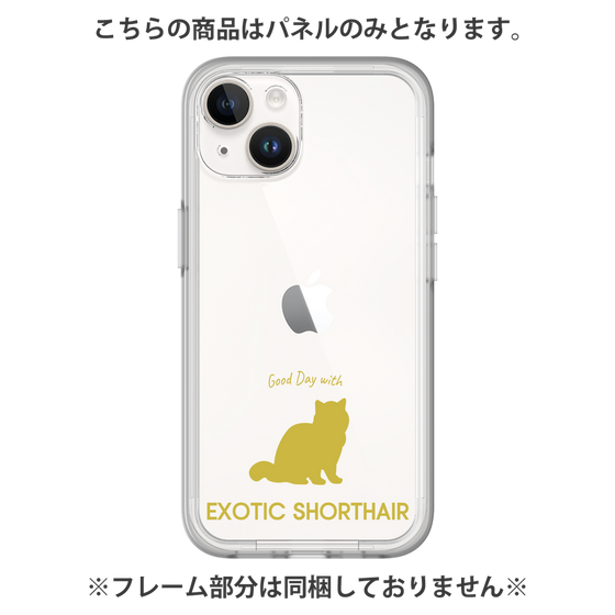 Premium Panel［ &UCHINOCO - Exotic Shorthair ］