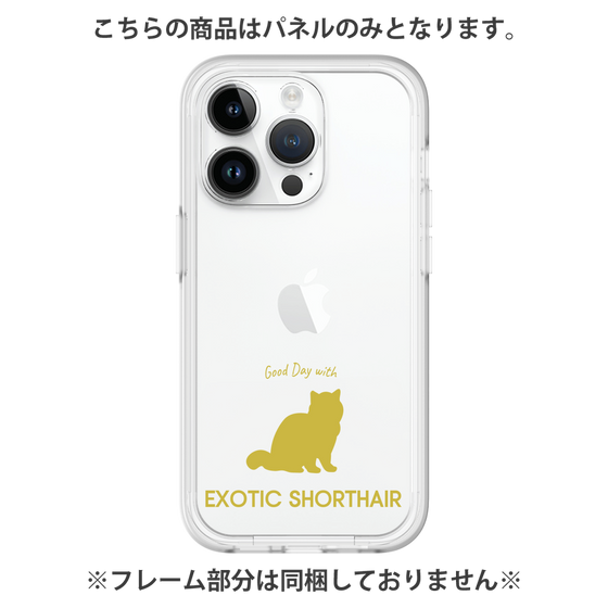 Premium Panel［ &UCHINOCO - Exotic Shorthair ］