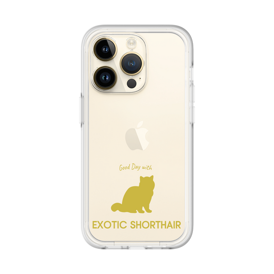 Premium Panel［ &UCHINOCO - Exotic Shorthair ］