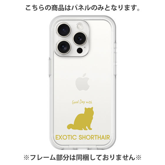Premium Panel［ &UCHINOCO - Exotic Shorthair ］
