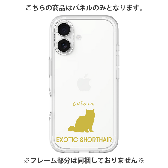 Premium Panel［ &UCHINOCO - Exotic Shorthair ］