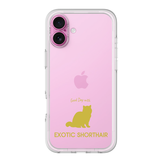 Premium Panel［ &UCHINOCO - Exotic Shorthair ］