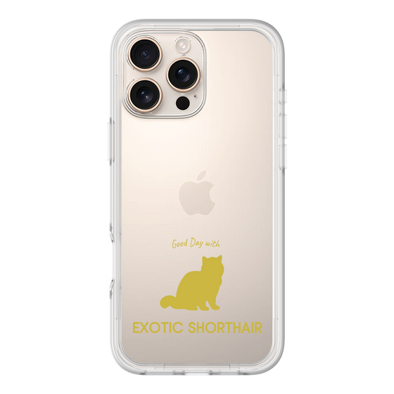Premium Panel［ &UCHINOCO - Exotic Shorthair ］