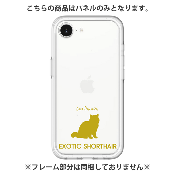 Premium Panel［ &UCHINOCO - Exotic Shorthair ］
