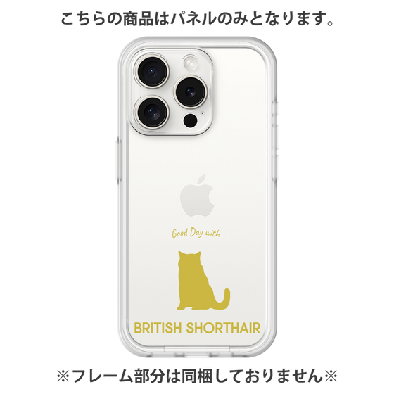 Premium Panel［ &UCHINOCO - British Shorthair 1 ］