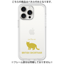 Premium Panel［ &UCHINOCO - British Shorthair 2 ］