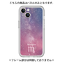 Premium Panel［ STARRY SIGNS - Original - Scorpio ］