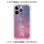 Premium Panel［ STARRY SIGNS - Original - Scorpio ］