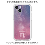 Premium Panel［ STARRY SIGNS - Original - Scorpio ］