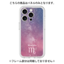 Premium Panel［ STARRY SIGNS - Original - Scorpio ］