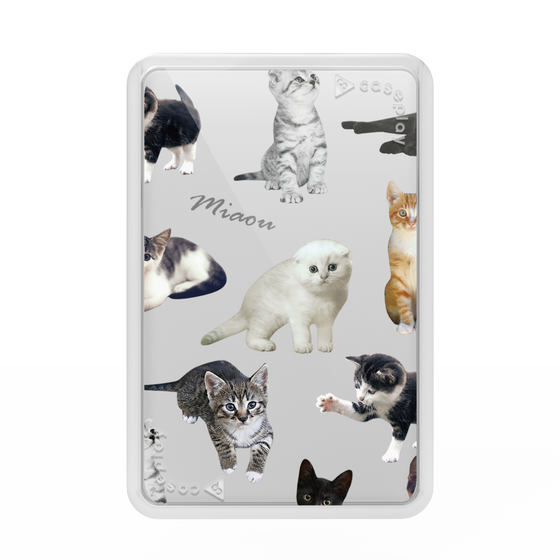 Premium Card Wallet［ Cat Collection ］
