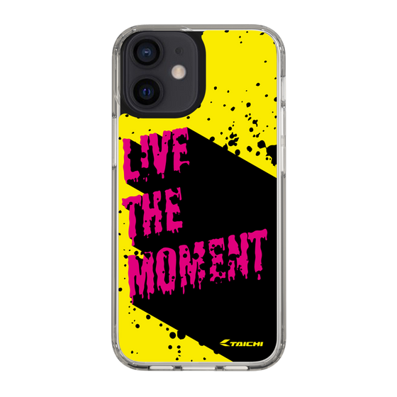 Slim Protection Case［ TAICHI - PAINT ］