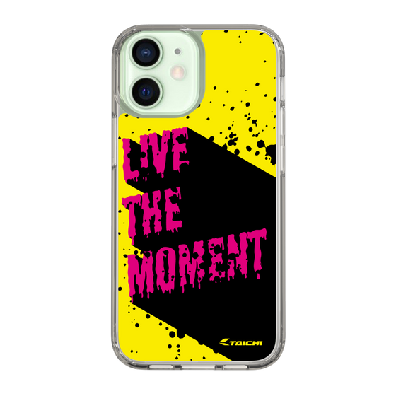 Slim Protection Case［ TAICHI - PAINT ］