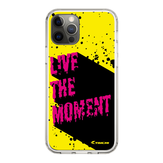Slim Protection Case［ TAICHI - PAINT ］