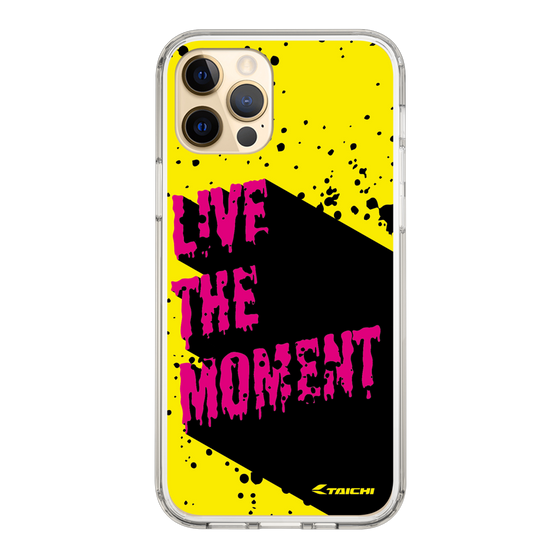 Slim Protection Case［ TAICHI - PAINT ］