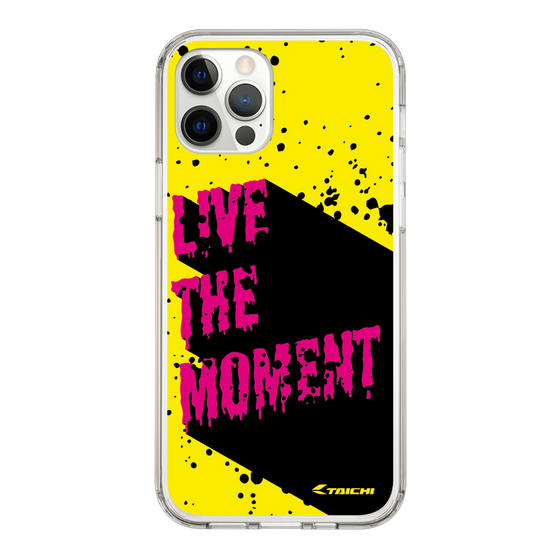 Slim Protection Case［ TAICHI - PAINT ］