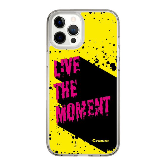 Slim Protection Case［ TAICHI - PAINT ］