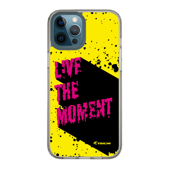 Slim Protection Case［ TAICHI - PAINT ］