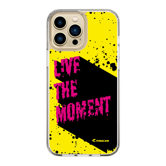 Slim Protection Case［ TAICHI - PAINT ］