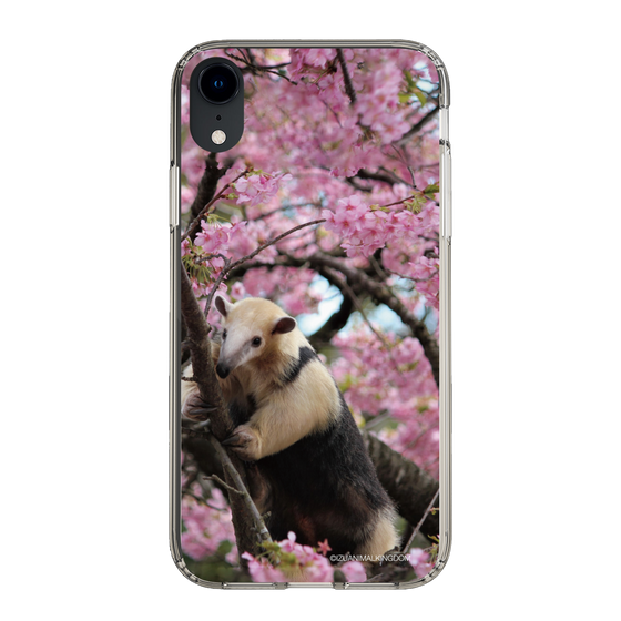 Slim Protection Case［ The Izu Animal Kingdom - Anteater ］
