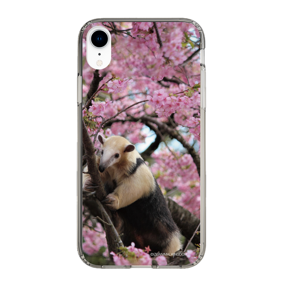 Slim Protection Case［ The Izu Animal Kingdom - Anteater ］