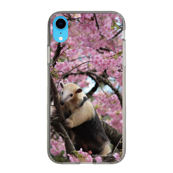 Slim Protection Case［ The Izu Animal Kingdom - Anteater ］