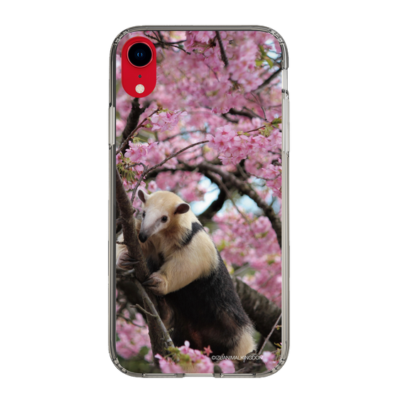 Slim Protection Case［ The Izu Animal Kingdom - Anteater ］