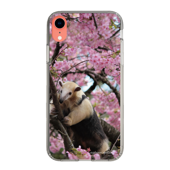 Slim Protection Case［ The Izu Animal Kingdom - Anteater ］