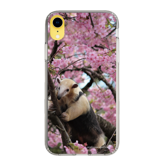 Slim Protection Case［ The Izu Animal Kingdom - Anteater ］