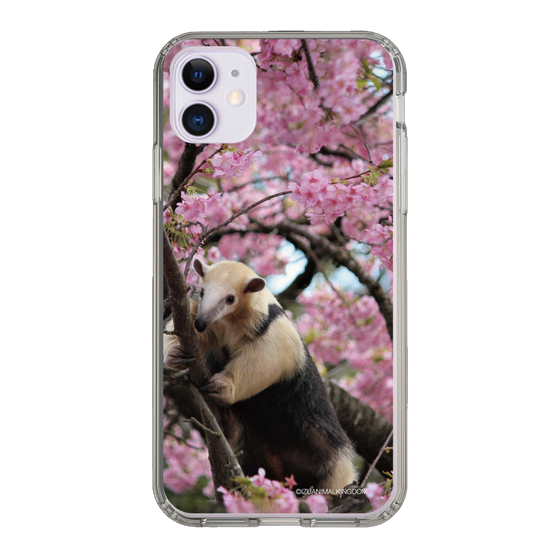 Slim Protection Case［ The Izu Animal Kingdom - Anteater ］