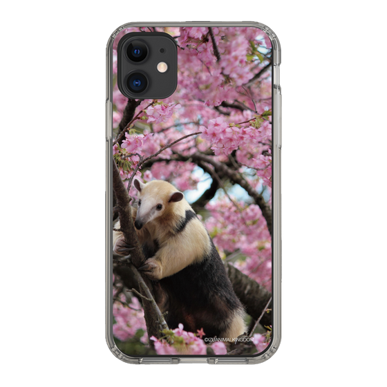 Slim Protection Case［ The Izu Animal Kingdom - Anteater ］