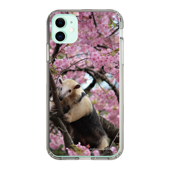 Slim Protection Case［ The Izu Animal Kingdom - Anteater ］